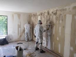 Best Real Estate Mold Inspection  in Manning, SC